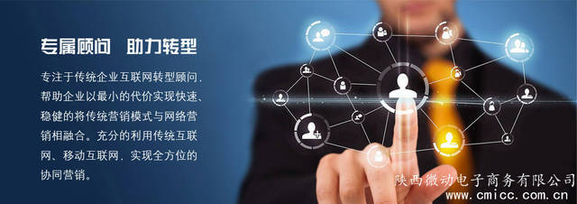 西安最专业的全网营销策划与企业管理咨询公司