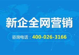 新企网解析 网络营销策划的常用技巧与企业实操指南