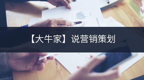 大牛家 营销策划与企业咨询的双轮驱动之道